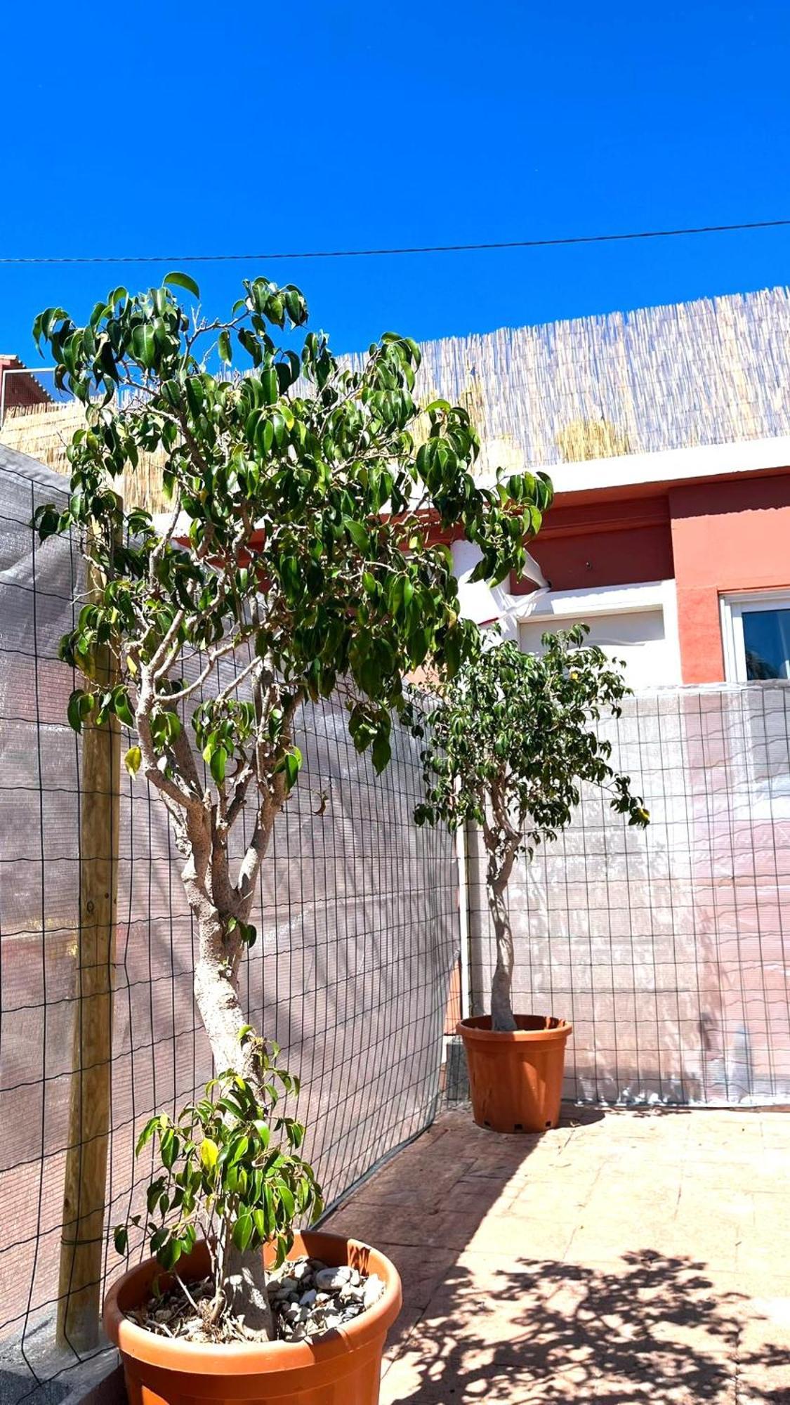 Apartamento Leyda En Μαρμπέλλα Εξωτερικό φωτογραφία